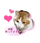 MOFBの七五三（個別スタンプ：35）