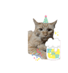 MOFBの七五三（個別スタンプ：36）