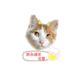 MOFBの七五三（個別スタンプ：37）