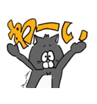 こんにちはねこ（個別スタンプ：16）