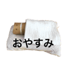 トイレットペーパー の芯くん（個別スタンプ：3）