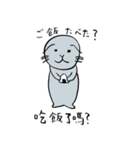 バイリンガルなアザラシ一家（JP＆CN）（個別スタンプ：14）
