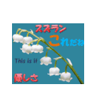 花言葉2（個別スタンプ：24）