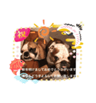 ブルドッグのデニラシ兄弟♡2（個別スタンプ：2）