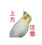 しみずけのなつおさん（個別スタンプ：4）