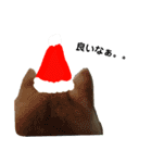 豆柴犬のクリスマス（個別スタンプ：23）