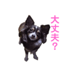 ツンデレラ♡フラッフィー3（個別スタンプ：6）