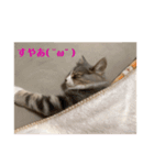 weegie-house1（個別スタンプ：9）