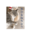 weegie-house1（個別スタンプ：11）