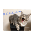 weegie-house1（個別スタンプ：13）