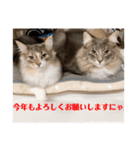 weegie-house1（個別スタンプ：16）