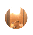 KIKI's consciousness.（個別スタンプ：6）