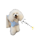 6☆dog style.（個別スタンプ：5）