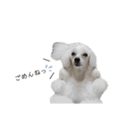 6☆dog style.（個別スタンプ：6）