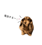 6☆dog style.（個別スタンプ：7）