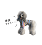 6☆dog style.（個別スタンプ：9）
