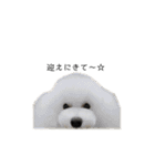 6☆dog style.（個別スタンプ：10）