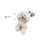 6☆dog style.（個別スタンプ：23）