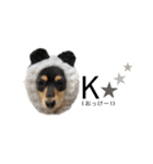 6☆dog style.（個別スタンプ：26）