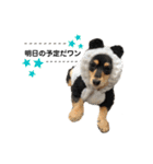 6☆dog style.（個別スタンプ：32）