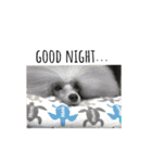 6☆dog style.（個別スタンプ：36）