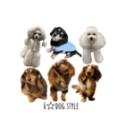 6☆dog style.（個別スタンプ：37）