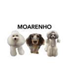 6☆dog style.（個別スタンプ：38）
