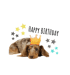 6☆dog style.（個別スタンプ：39）