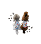 6☆dog style.（個別スタンプ：40）