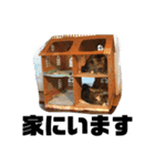 ぜんすけブラザーズ犬＆猫（個別スタンプ：21）