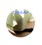 愛猫様（個別スタンプ：8）