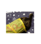 愛猫様（個別スタンプ：9）