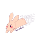圧倒的ウサギ（個別スタンプ：8）