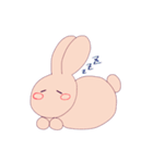 圧倒的ウサギ（個別スタンプ：19）