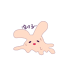 圧倒的ウサギ（個別スタンプ：20）