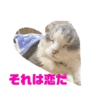 にゃんこ『ゆず』の可愛い日常  第2弾！！！（個別スタンプ：4）