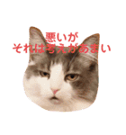 フラッフィー＆ミルク（個別スタンプ：1）