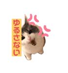 フラッフィー＆ミルク（個別スタンプ：10）