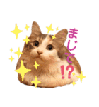 フラッフィー＆ミルク（個別スタンプ：13）