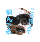 仲良し3人家族 ⑥（個別スタンプ：8）