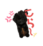 仲良し3人家族 ⑥（個別スタンプ：13）
