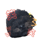 仲良し3人家族 ⑥（個別スタンプ：19）