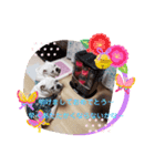 ブルドッグのハル＆ココ♡2（個別スタンプ：2）