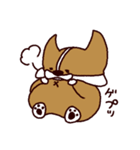 うちのコーギー （文字あり）（個別スタンプ：16）