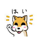 実家犬モミジちゃん第2弾（個別スタンプ：1）