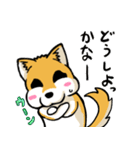 実家犬モミジちゃん第2弾（個別スタンプ：5）
