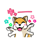 実家犬モミジちゃん第2弾（個別スタンプ：9）
