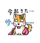 実家犬モミジちゃん第2弾（個別スタンプ：13）