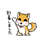 実家犬モミジちゃん第2弾（個別スタンプ：15）