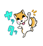 実家犬モミジちゃん第2弾（個別スタンプ：16）